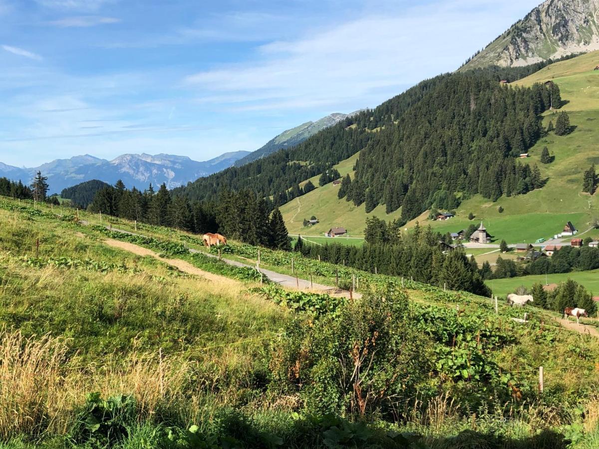 Alpine Dream Chalet With Spa Close To Lake Geneva Les Mosses Exterior photo